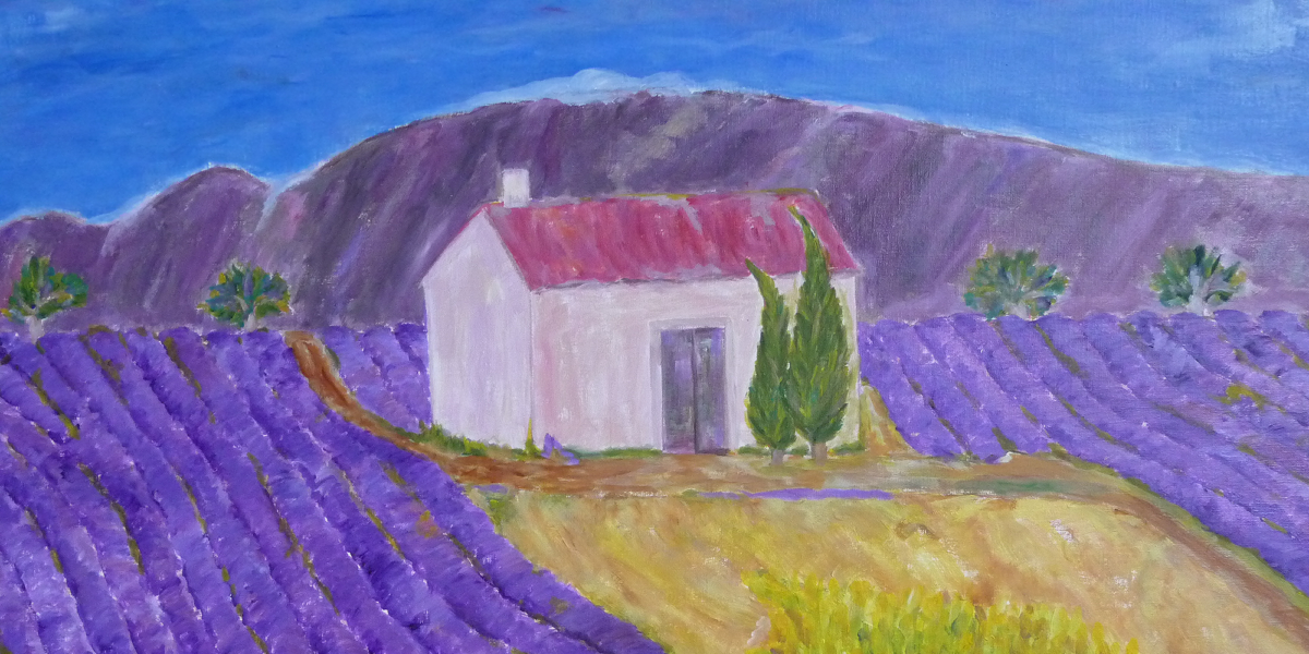 Lavendelfelder in der Haute Provence